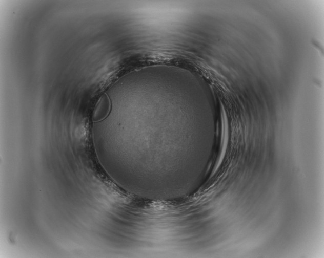 X0000094220608200710261231