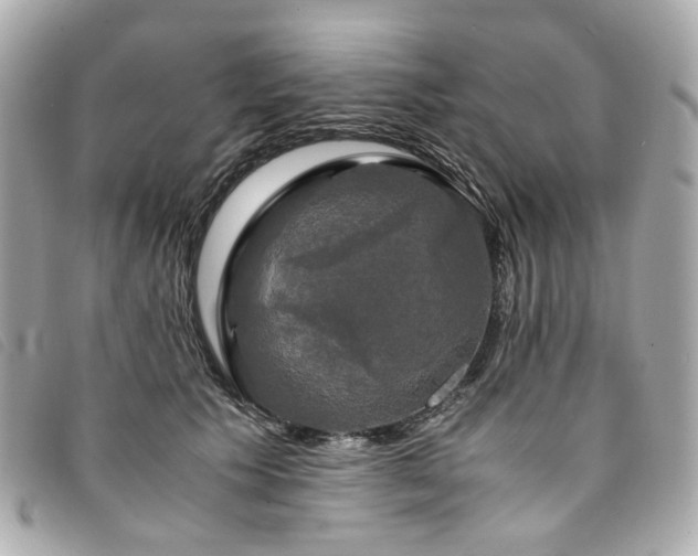 X0000094220609200710261231