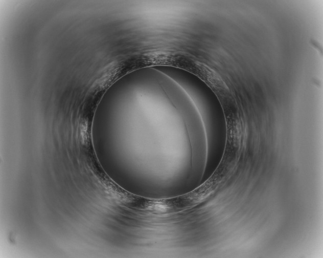 X0000094220610200710261231