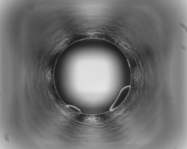 X0000094220611200710261231