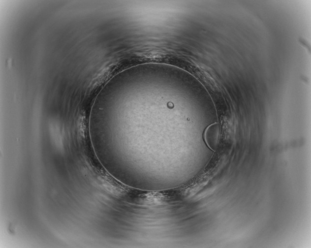 X0000094220612200710261231