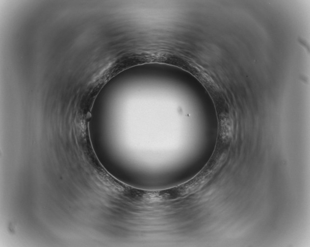 X0000094220613200710261231