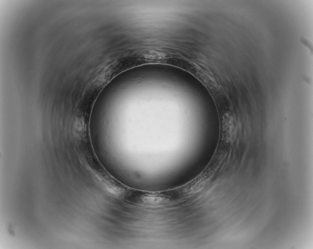 X0000094220614200710261231