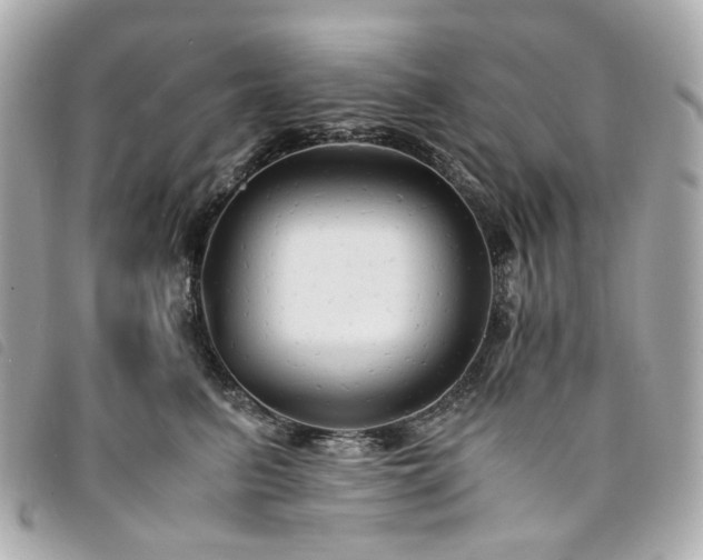 X0000094220615200710261231