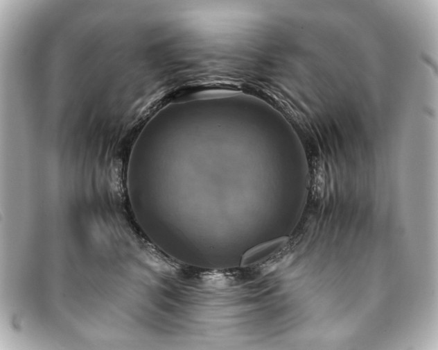 X0000094220616200710261231