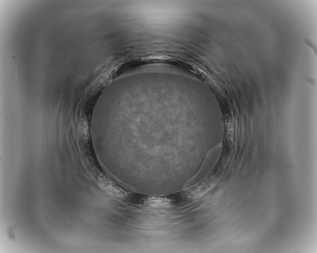 X0000094220617200710261231