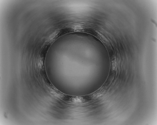 X0000094220618200710261231