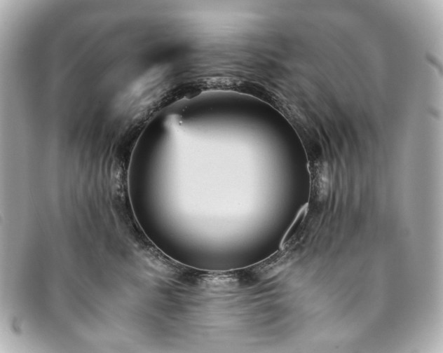 X0000094220619200710261231