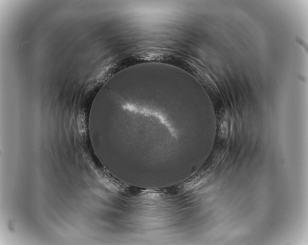 X0000094220620200710261231