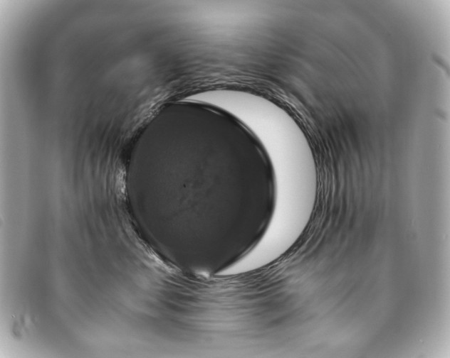 X0000094220621200710261231