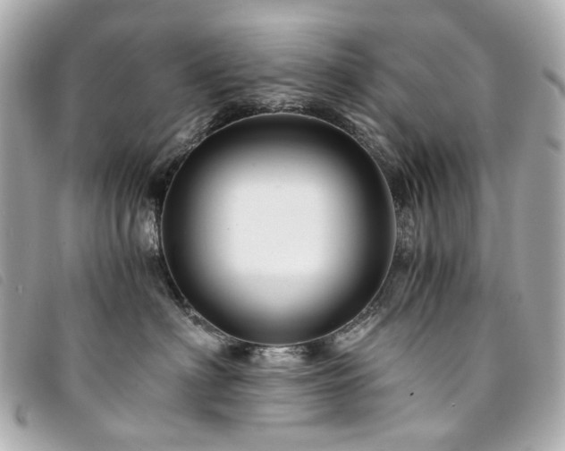 X0000094220622200710261231