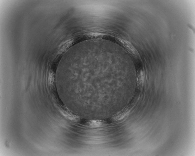 X0000094220623200710261231