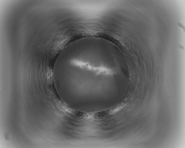 X0000094220624200710261231