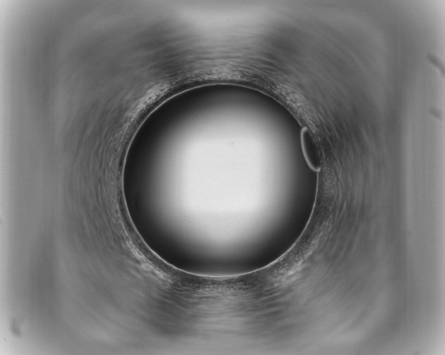 X0000094220625200710261230