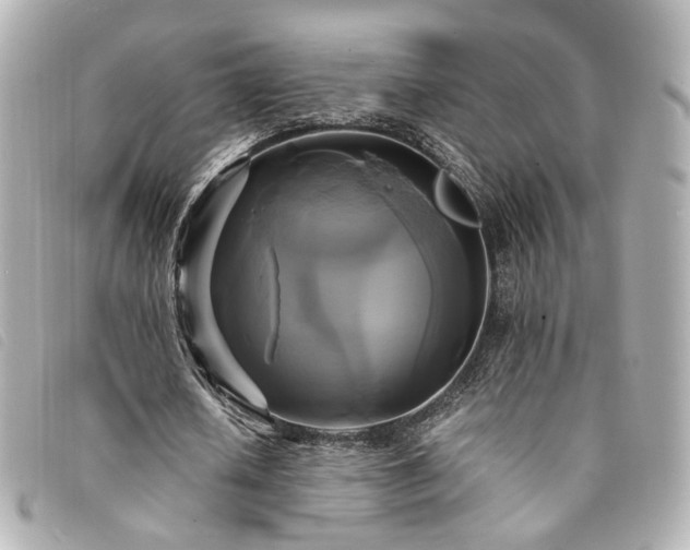 X0000094220626200710261230