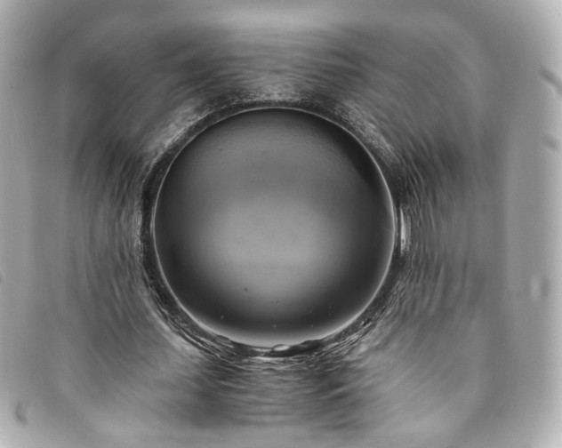 X0000094220627200710261230