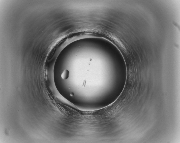 X0000094220628200710261230