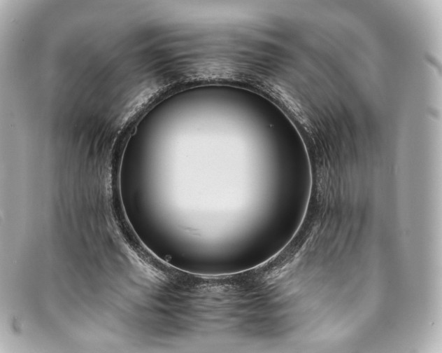 X0000094220629200710261230