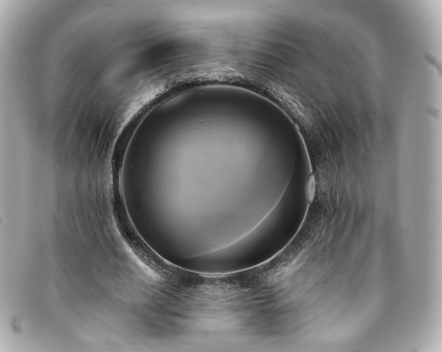 X0000094220630200710261230