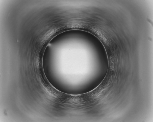 X0000094220631200710261230