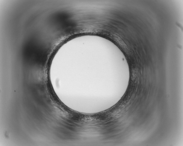 X0000094220632200710261230