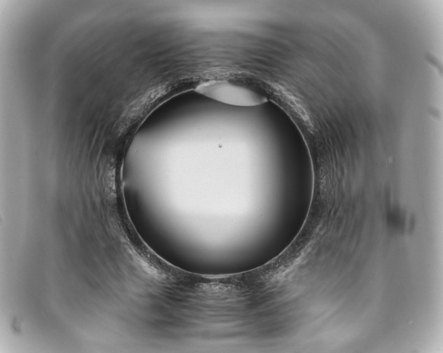 X0000094220633200710261230