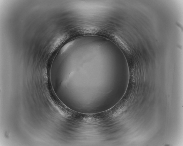 X0000094220634200710261230