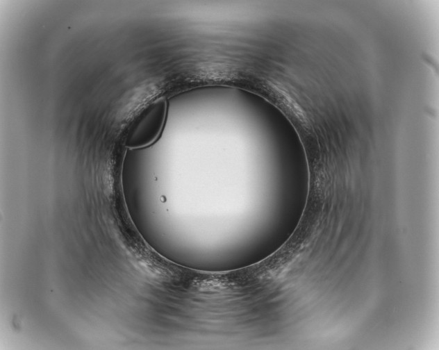 X0000094220635200710261230