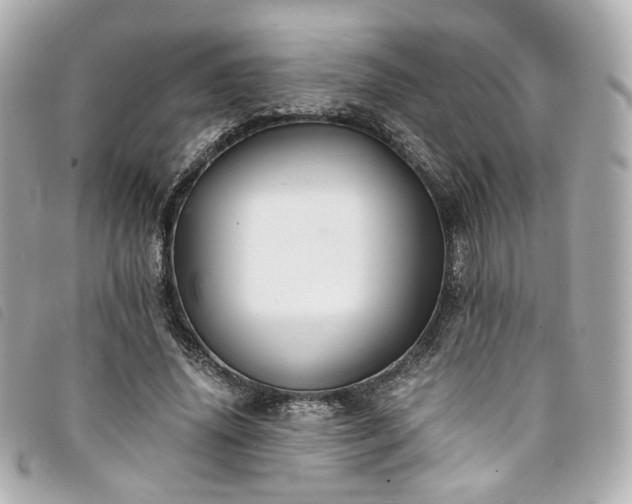 X0000094220636200710261230