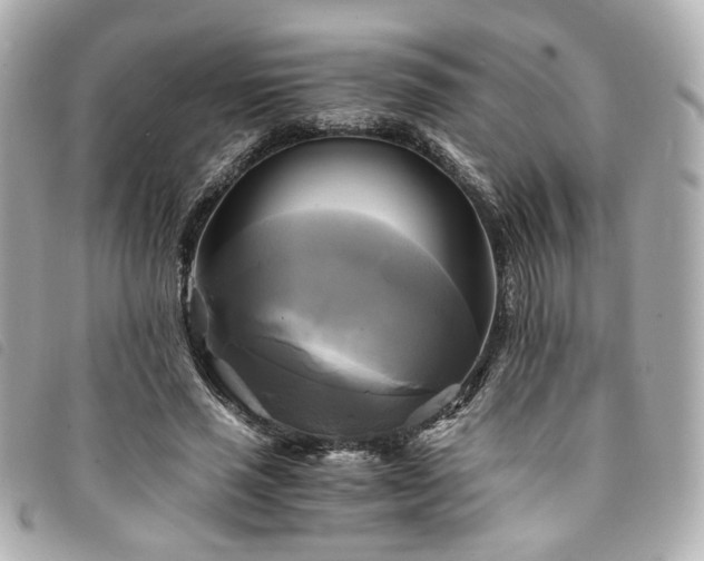 X0000094220637200710261230