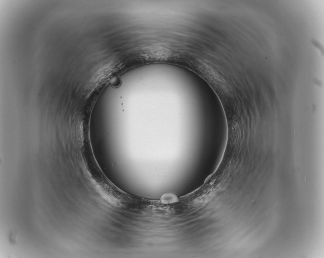 X0000094220638200710261231