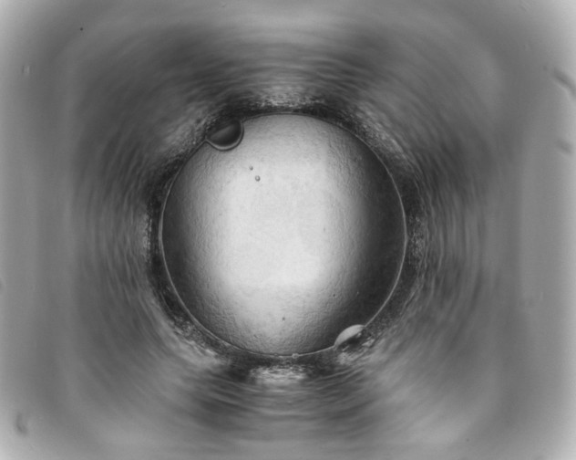 X0000094220639200710261231