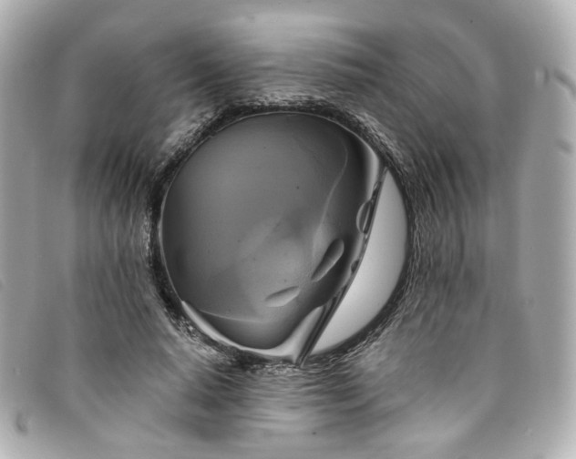 X0000094220640200710261231