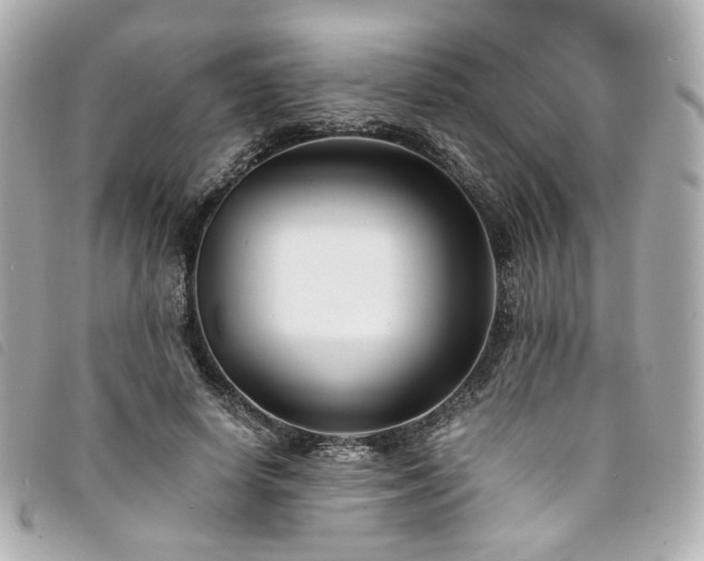 X0000094220642200710261231