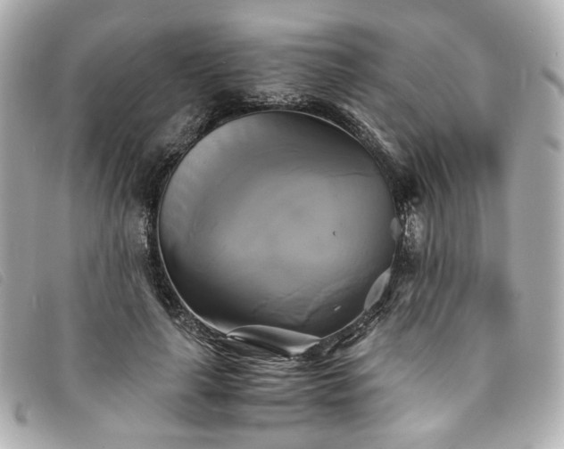 X0000094220643200710261231