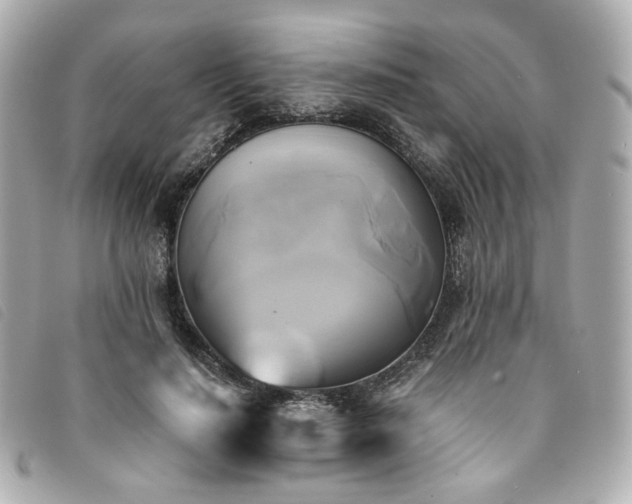 X0000094220644200710261231