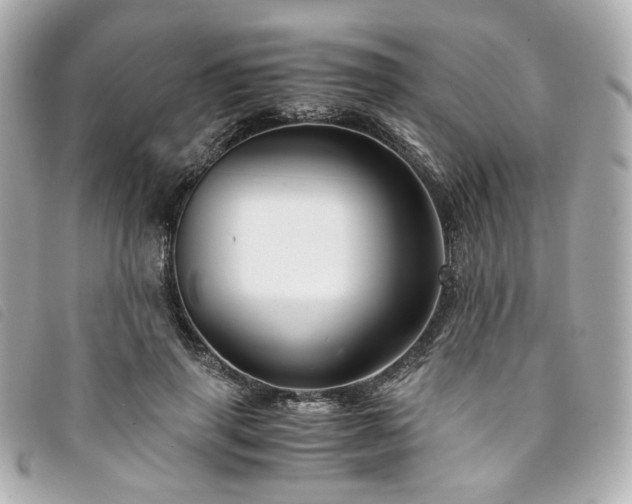 X0000094220645200710261231