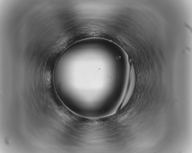 X0000094220646200710261231