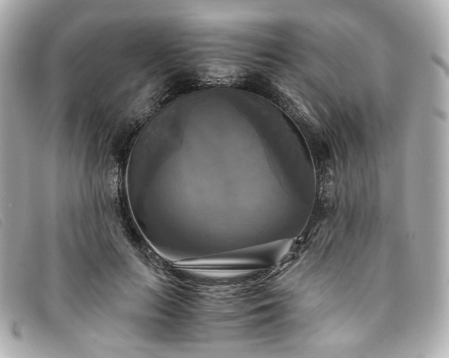 X0000094220647200710261231