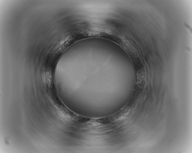 X0000094220648200710261231