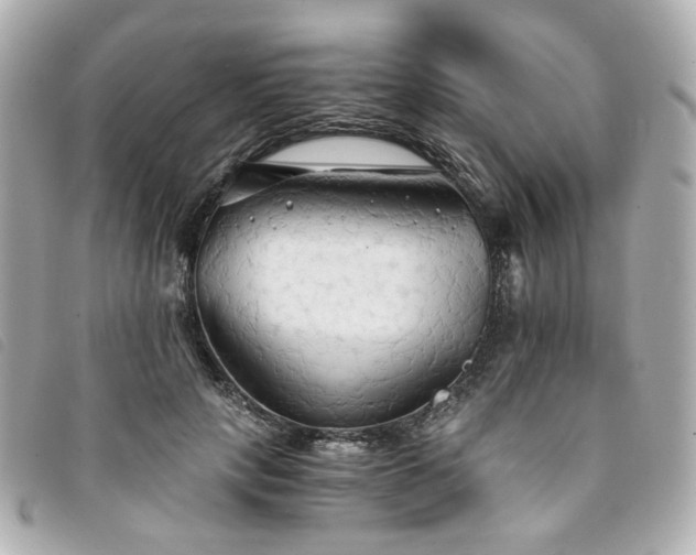 X0000094220649200710261231