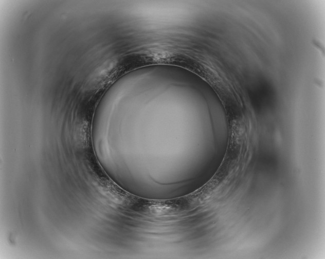 X0000094220650200710261231