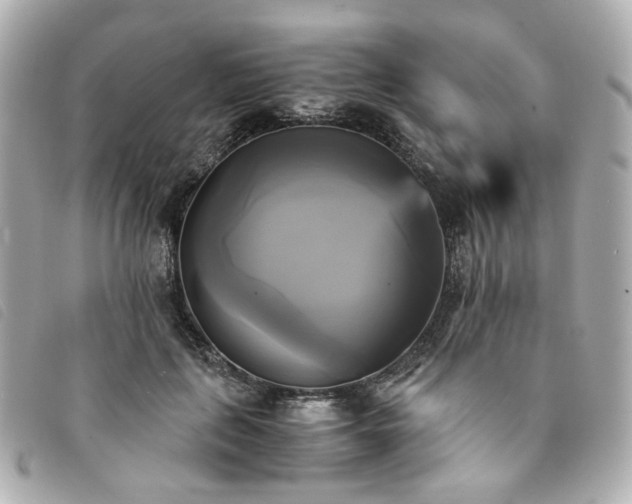 X0000094220651200710261231