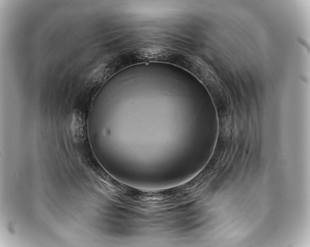 X0000094220653200710261231