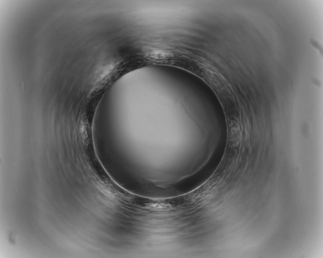 X0000094220654200710261231