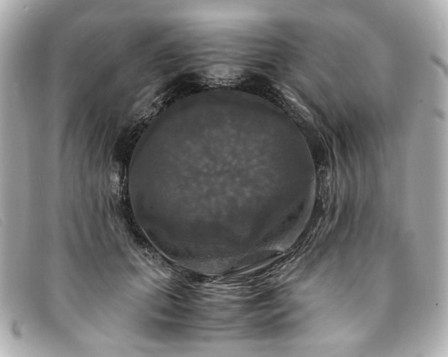 X0000094220655200710261231