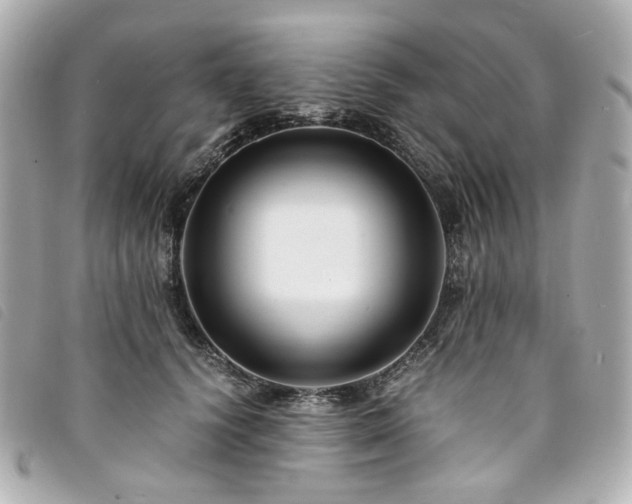 X0000094220656200710261231