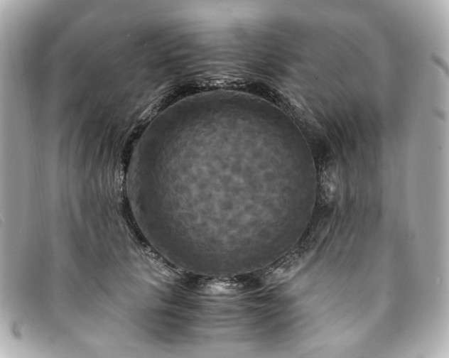 X0000094220657200710261231