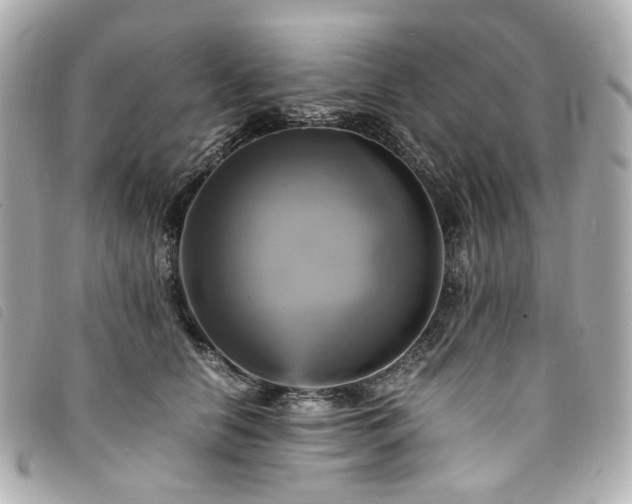 X0000094220658200710261231