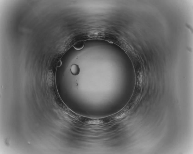 X0000094220659200710261231